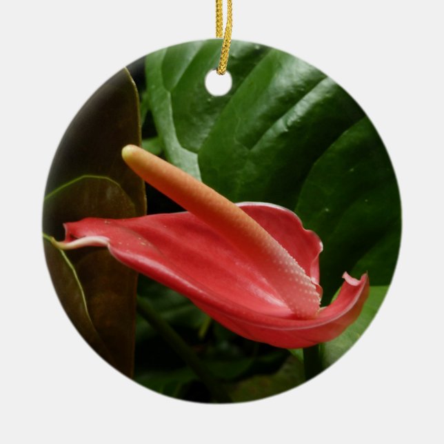 Pink Calla Lily Elegant Floral Ceramic Ornament (Front)