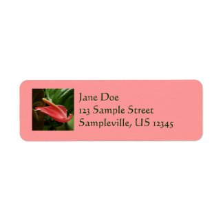 Pink Calla Lily Elegant Floral Label