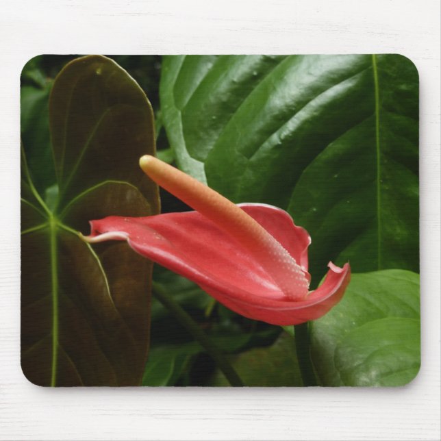 Pink Calla Lily Elegant Floral Mouse Pad (Front)