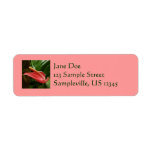 Pink Calla Lily Elegant Floral Photography Label