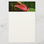 Pink Calla Lily Elegant Floral Stationery