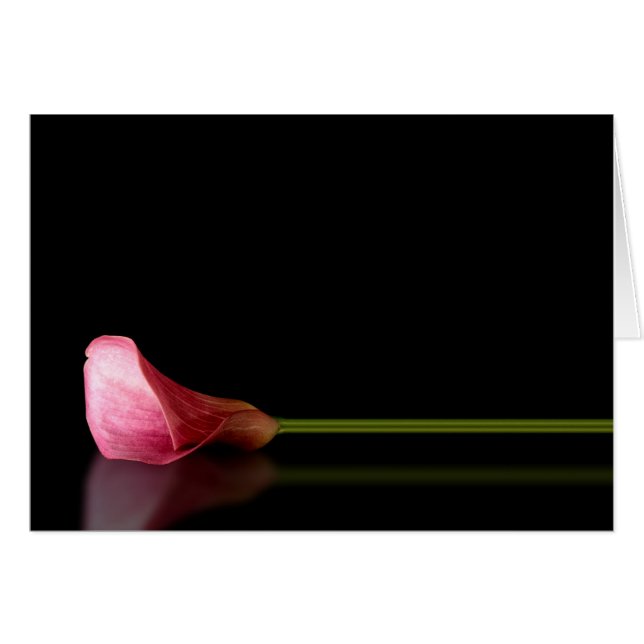 Pink Calla Lily Reflection Cards (Front Horizontal)