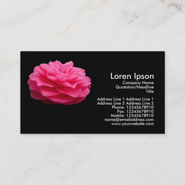 Pink Camelia - Black Business Card (Front)