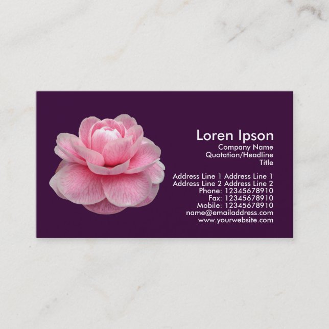 Pink Camelia - Dark Purple Business Card (Front)