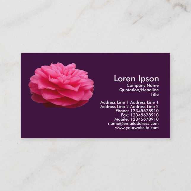 Pink Camelia - Dark Purple Business Card (Front)
