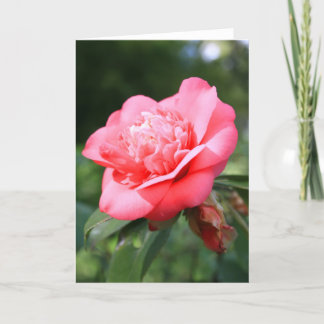 Pink Camelia Flower Greeting Card,Note Card