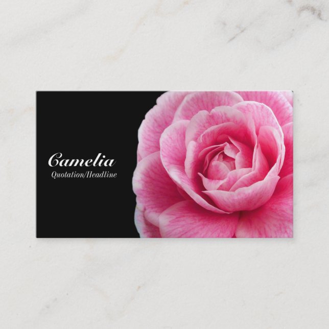 Pink Camelia II - Black Business Card (Front)