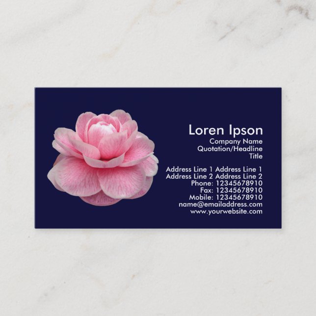 Pink Camelia - Navy Blue Business Card (Front)