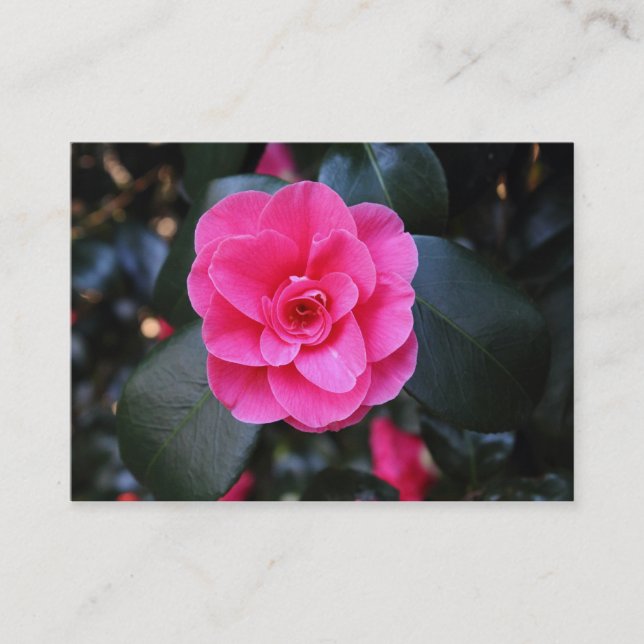 Pink Camellia Business Card (Front)
