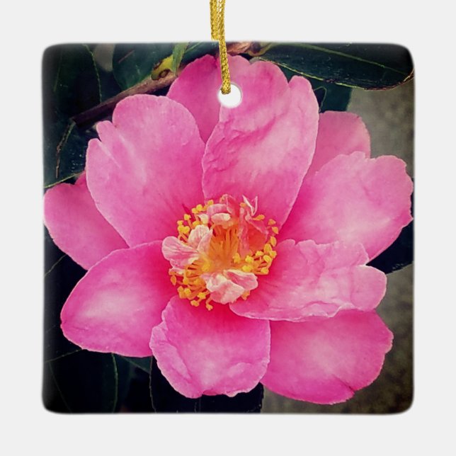 Pink Camellia Ceramic Christmas Ornament (Front)
