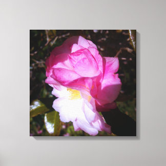 Pink Camellia Color Canvas Wall Decor