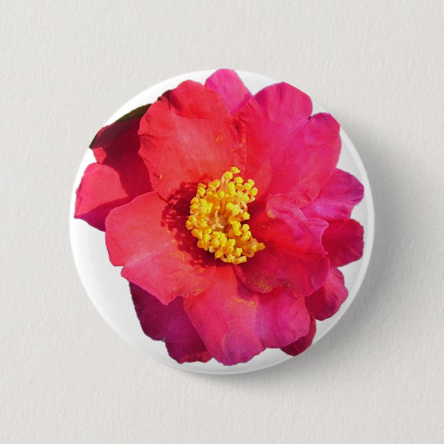 pink camellia flower button (Front)