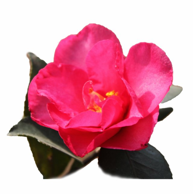 pink camellia flower statuette (Front)