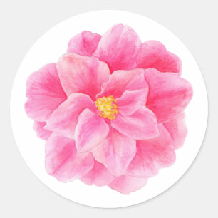 Pink camellia flower watercolor art sticker