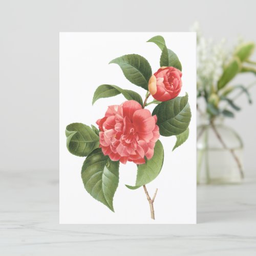 Pink Camellia Flowers by Redoute Invitation