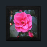 Pink Camellia Keepsake Box<br><div class="desc">An Attractive pink Camellia in early Spring.</div>