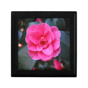 Pink Camellia Keepsake Box
