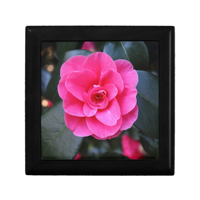 Pink Camellia Keepsake Box (Front)