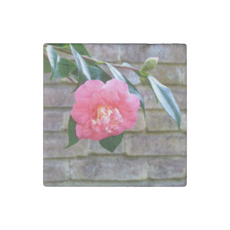 Pink Camellia Marble Magnet