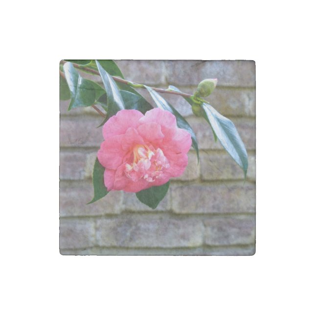 Pink Camellia Marble Magnet (Front)