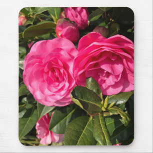 Pink Camellia Mouse Pad