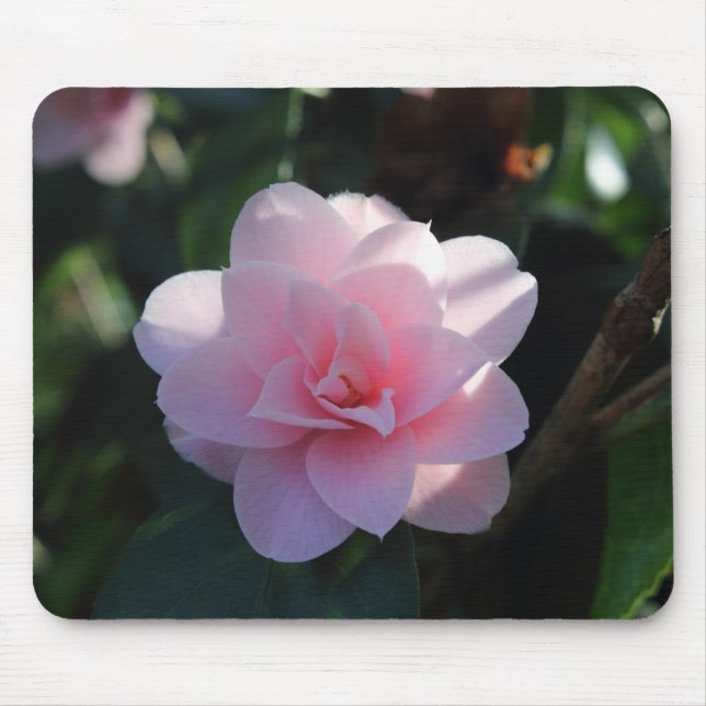 Pink Camellia Mouse Pad (Front)