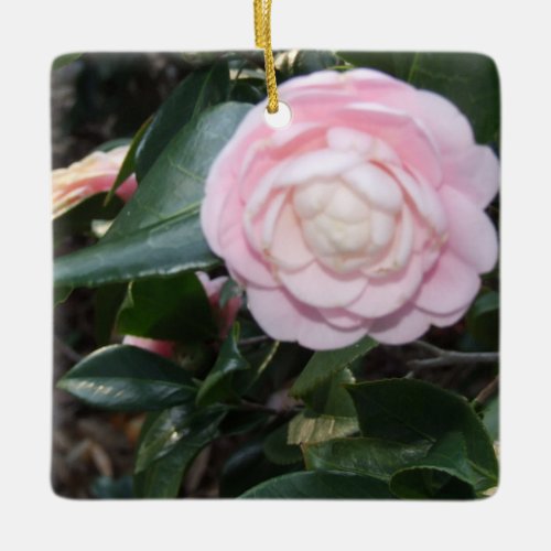 Pink Camellia Ornament