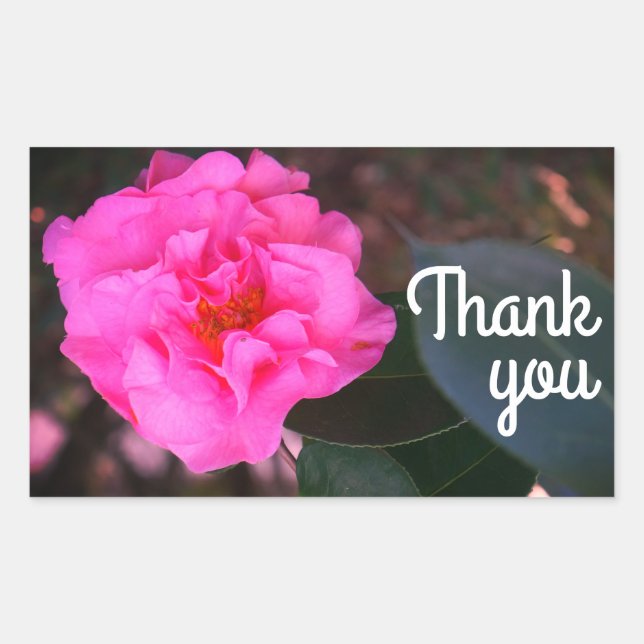Pink Camellia Thank You Stickers (Front)