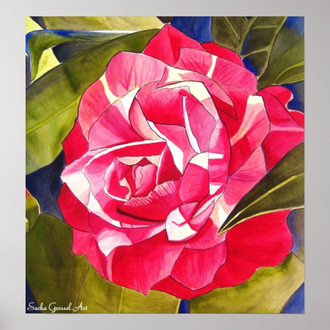Pink Camellia watercolor flower art painting Poster (Front)