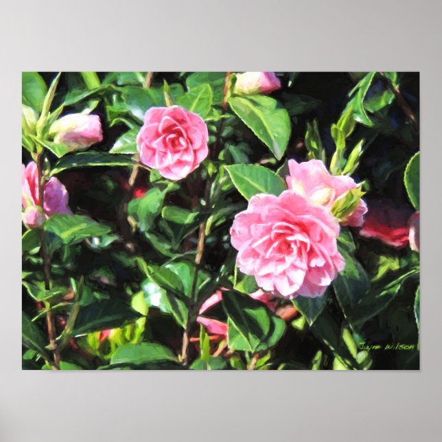 Pink Camellias Digital Painting Wall Art (Front)