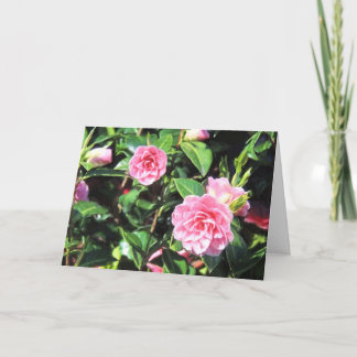 Pink Camellias Greeting Card