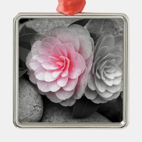 Pink Camellias Photograph Metal Ornament