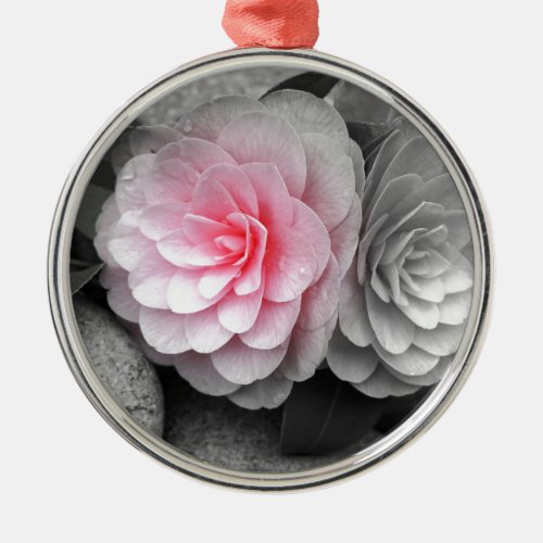 Pink Camellias Photograph Metal Ornament