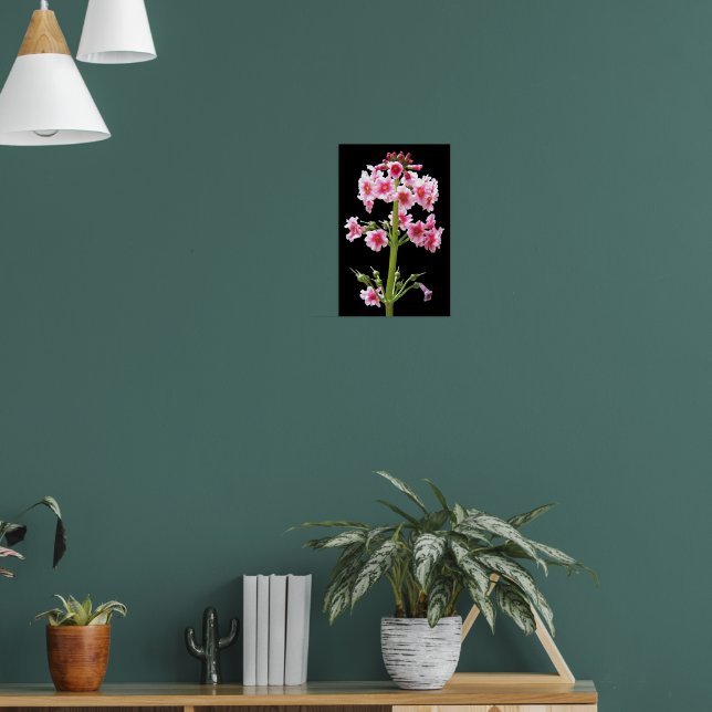 Pink Candelabra Primula Floral Poster (Living Room 1)