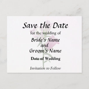 Pink Canterbury Bells Announcement Postcard