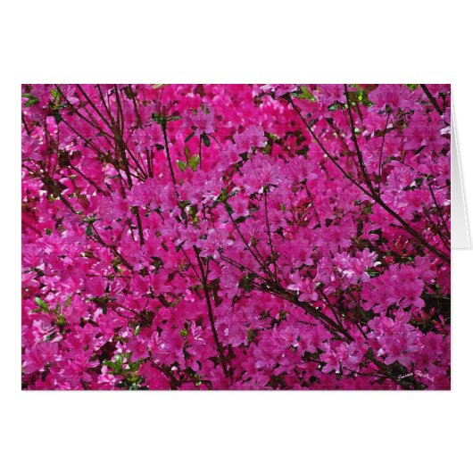 Pink! Cards (Front Horizontal)