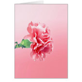 Pink carnation (Front)