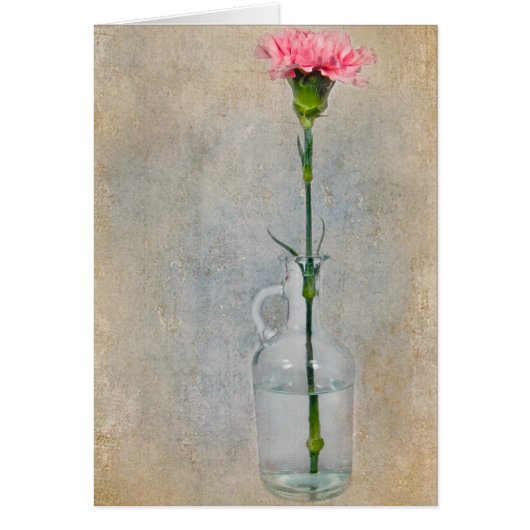 Pink Carnation Cards (Front)