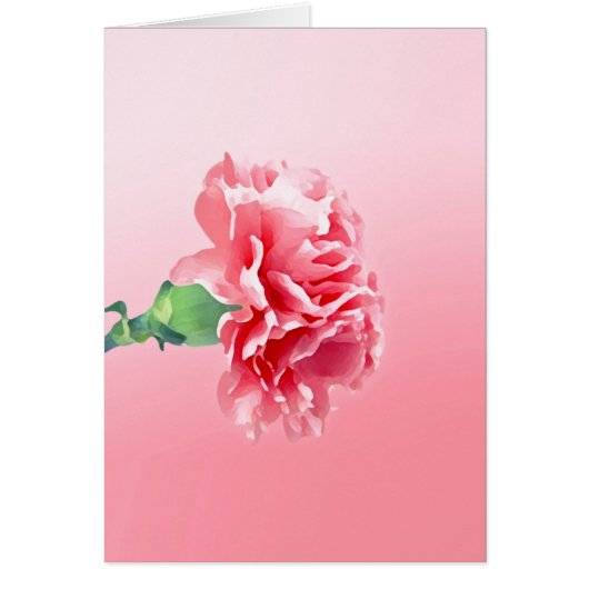Pink carnation cards (Front)