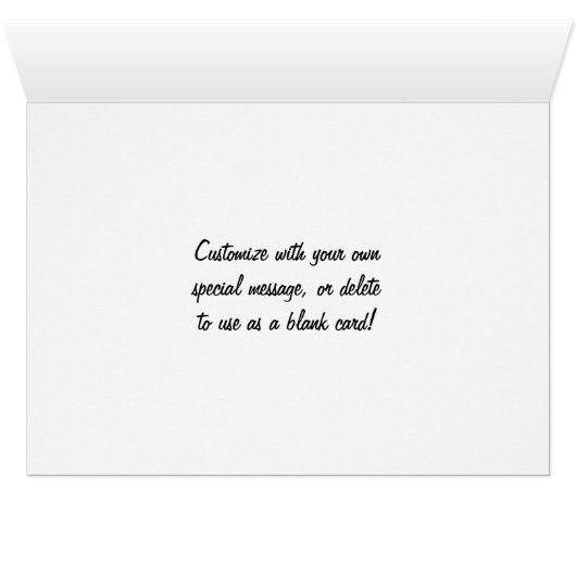 Pink Carnation Dianthus Flower (Inside Horizontal (Bottom))