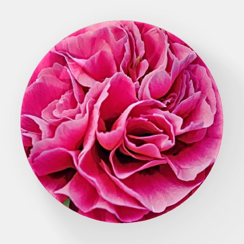 Pink Carnation Flower Art Glass Paperweight