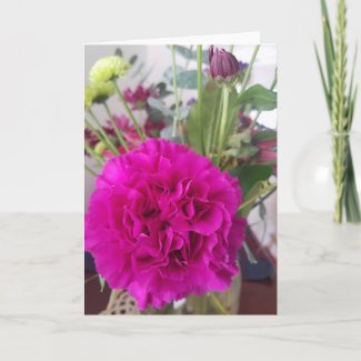 Pink Carnation Flower Blank Greeting Card