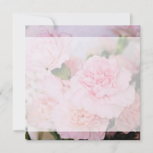 pink carnation flowers all party blank invitations