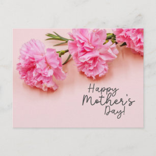 Pink Carnation  flowers for Mom on Mother's Day Postcard