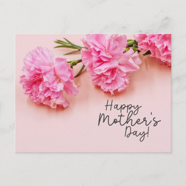 Pink Carnation  flowers for Mom on Mother's Day Postcard (Front)