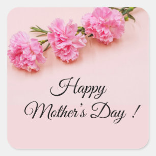 Pink carnation flowers Mother's Day mom on pink Square Sticker
