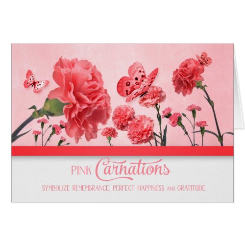 Pink Carnation Garden with Butterflies Blank