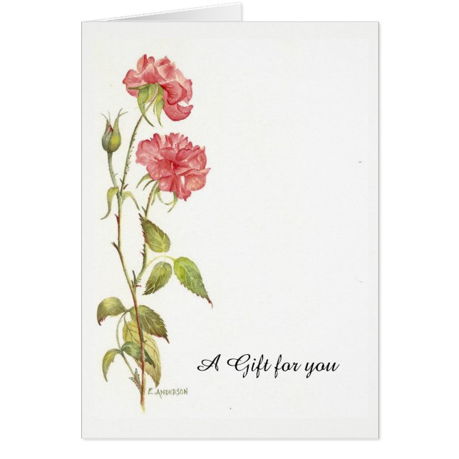 Pink carnation gift card (Front)