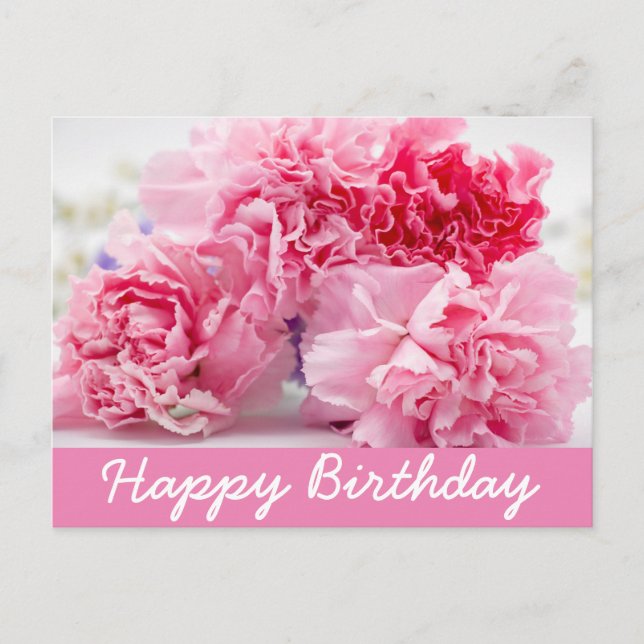 Pink Carnation on pink background Postcard (Front)