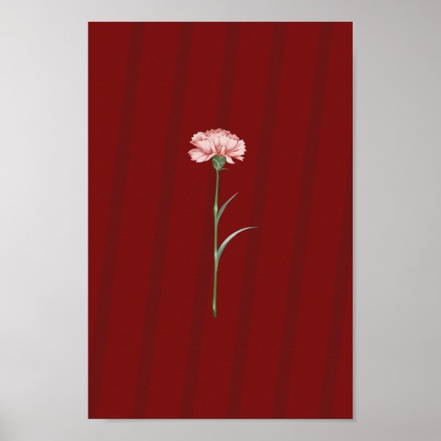 Pink Carnation on Red – Romantic Aesthetic Poster (Front)